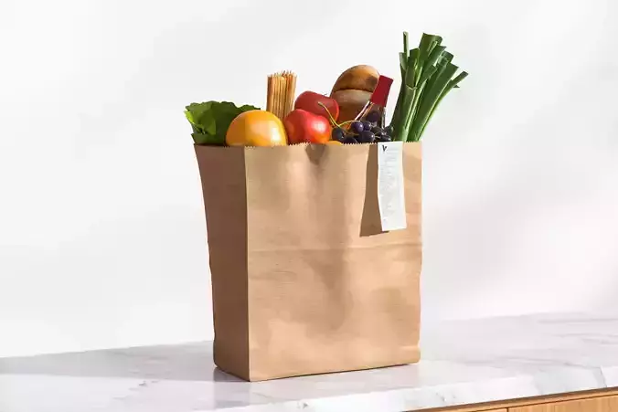 Paper bag full of groceries 3D model