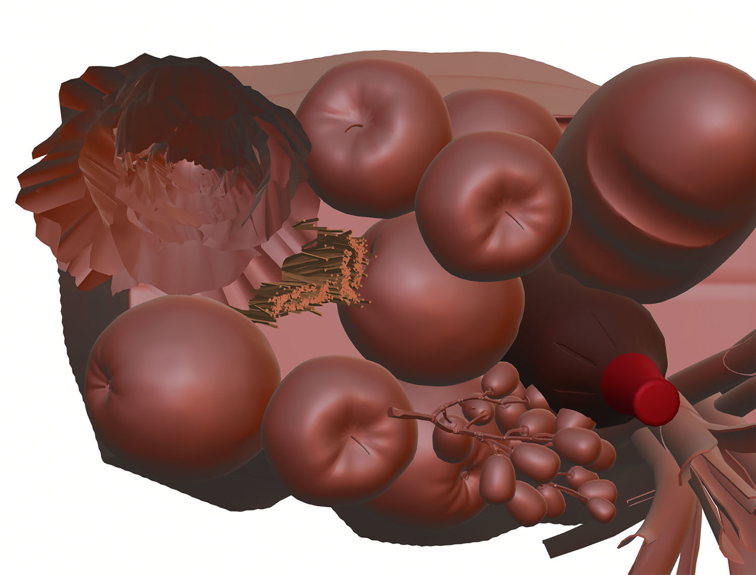 Paper bag full of groceries 3D model_11