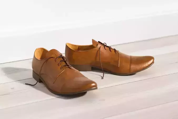 Brown elegant men shoes