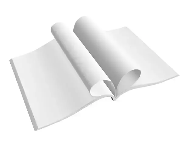 Magazine opened 05 3D model