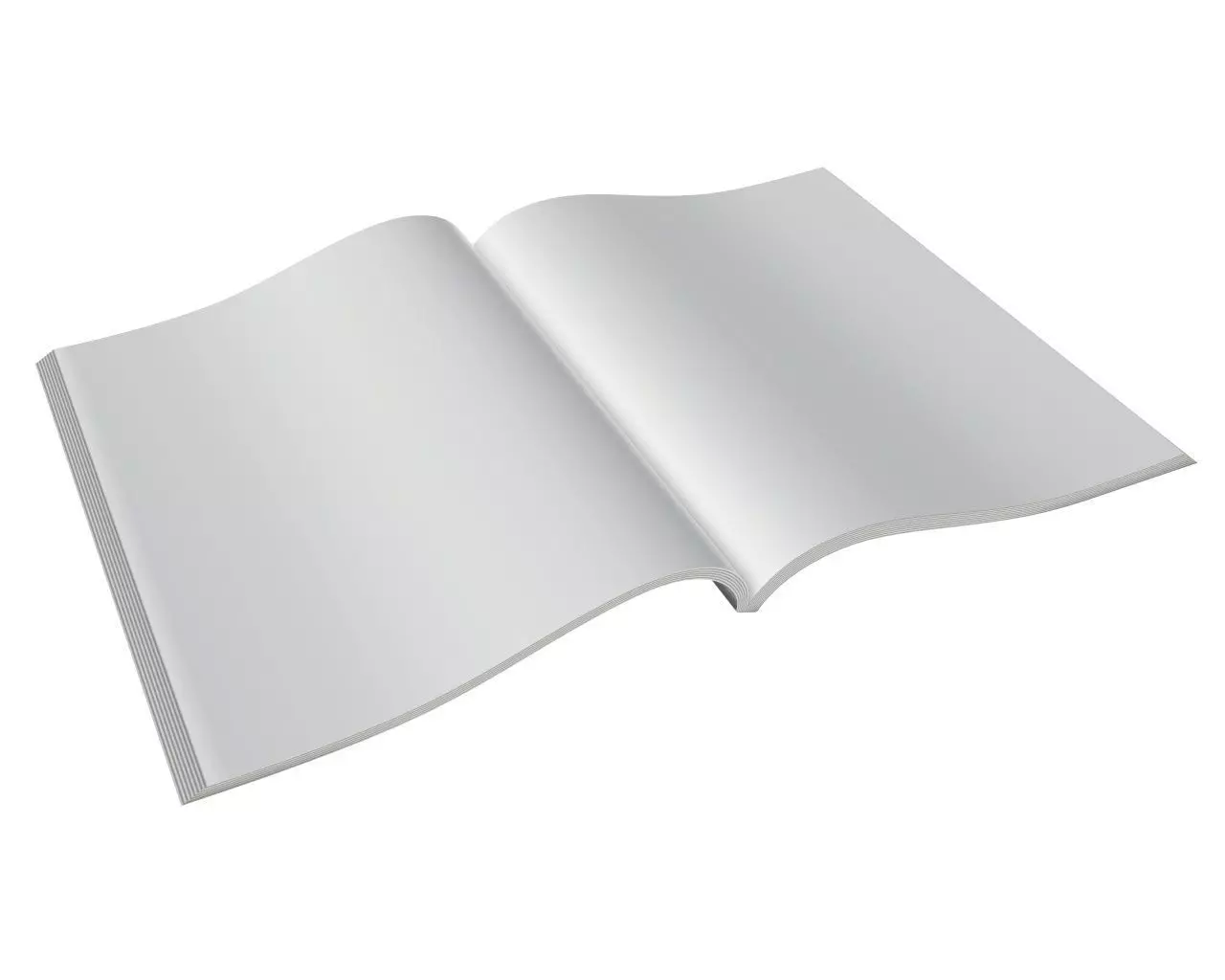 Magazine opened 3D model_0