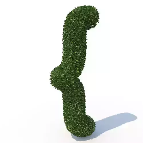shaped hedge 3D model