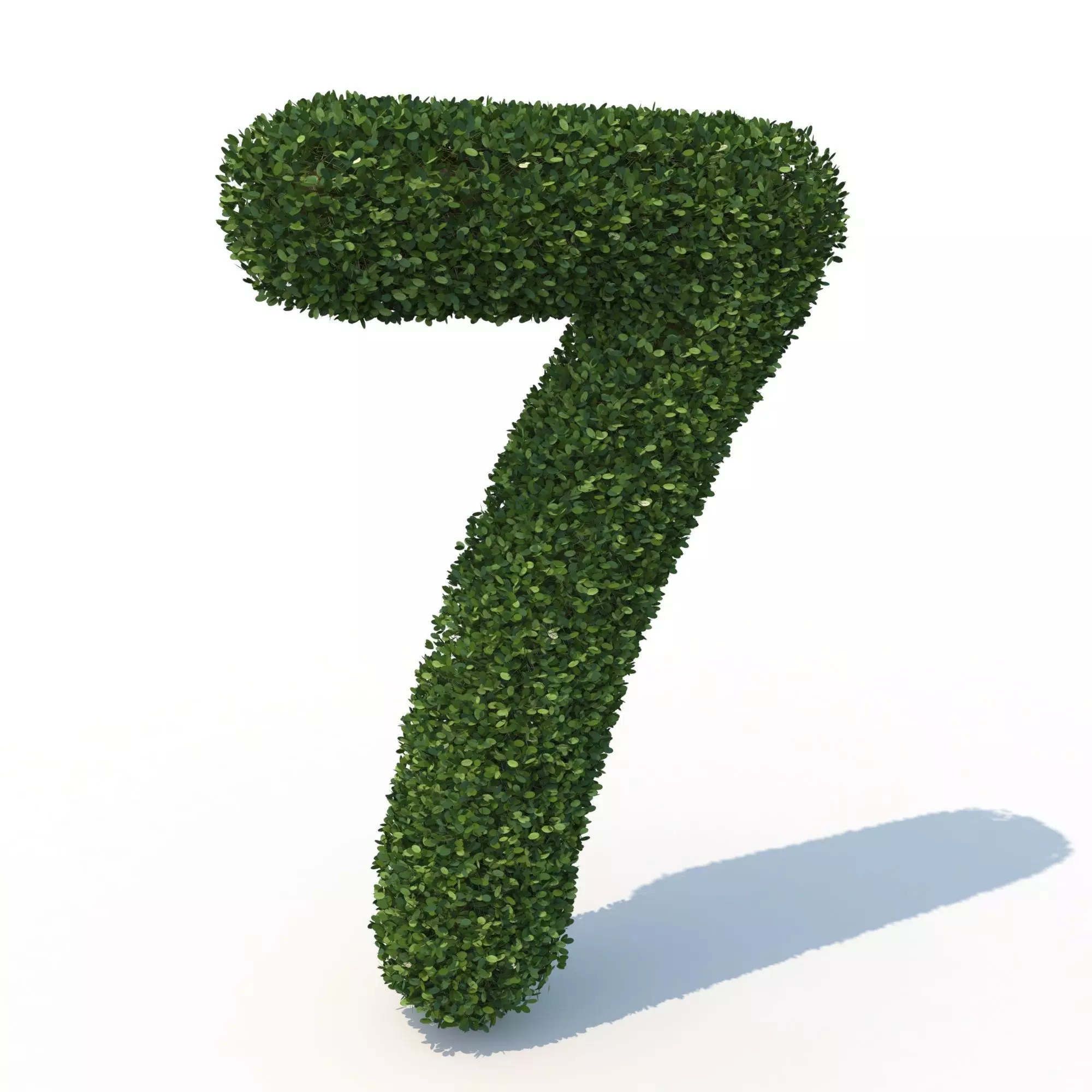 hedge 7 made into number one 3D model