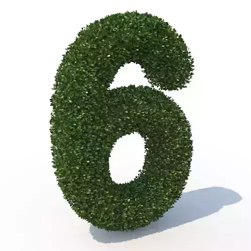 hedge 6 letter s 3D model
