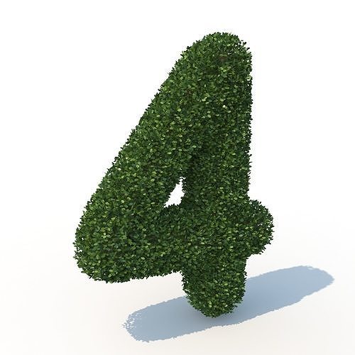 hedge 4 3D model