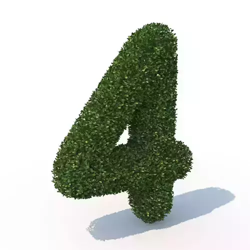 hedge 4 3D model