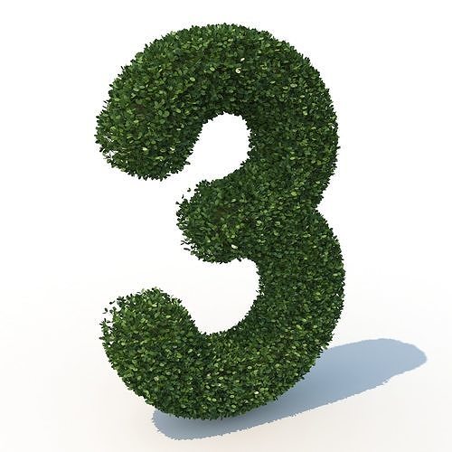 hedge 3 3D model