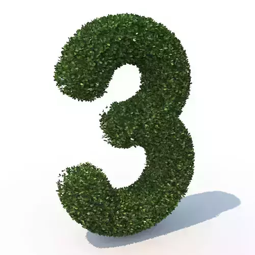 hedge 3 3D model