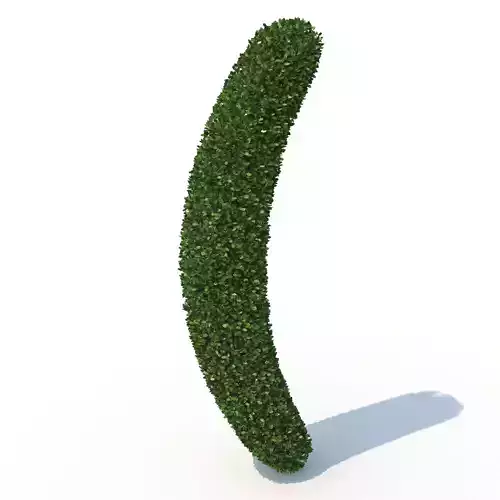 shaped hedge 3D model