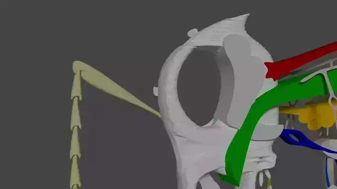 Mosquitoes bug with wings Low-poly 3D model