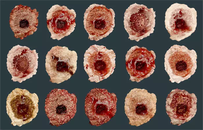 15 Skin Bullet Hole Seamless PBR Textures with Alpha Map  Texture_0