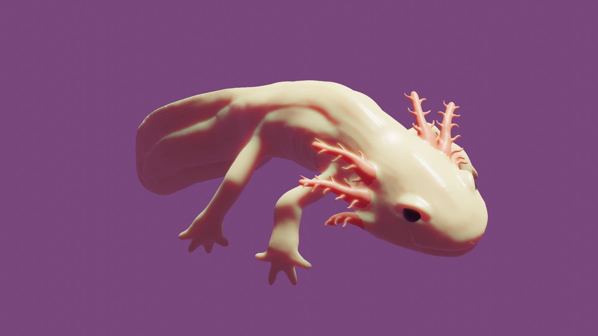 Axolotl 3D model_1