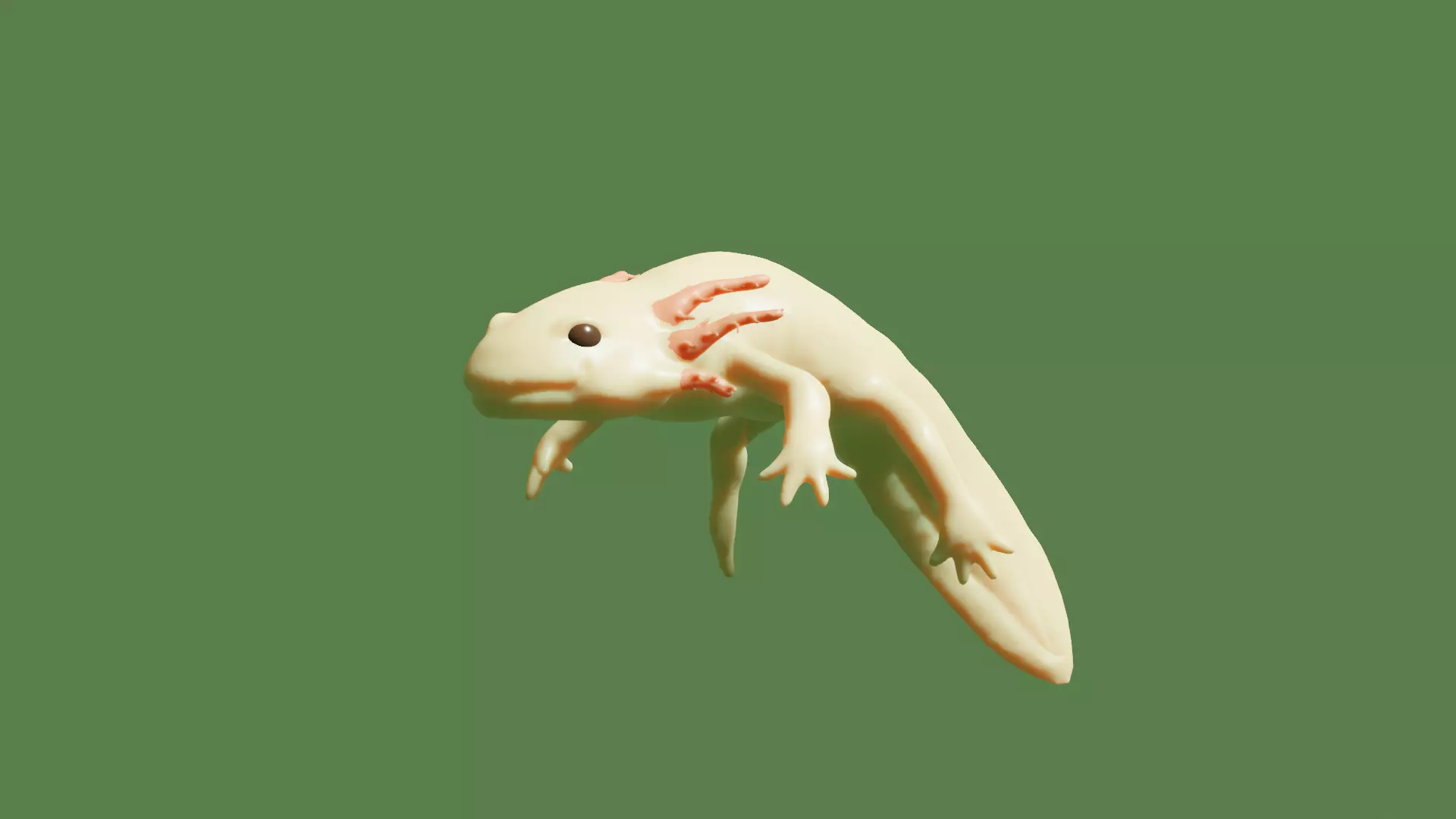 Axolotl 3D model_0