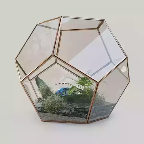 Terrarium with a frog 3D model