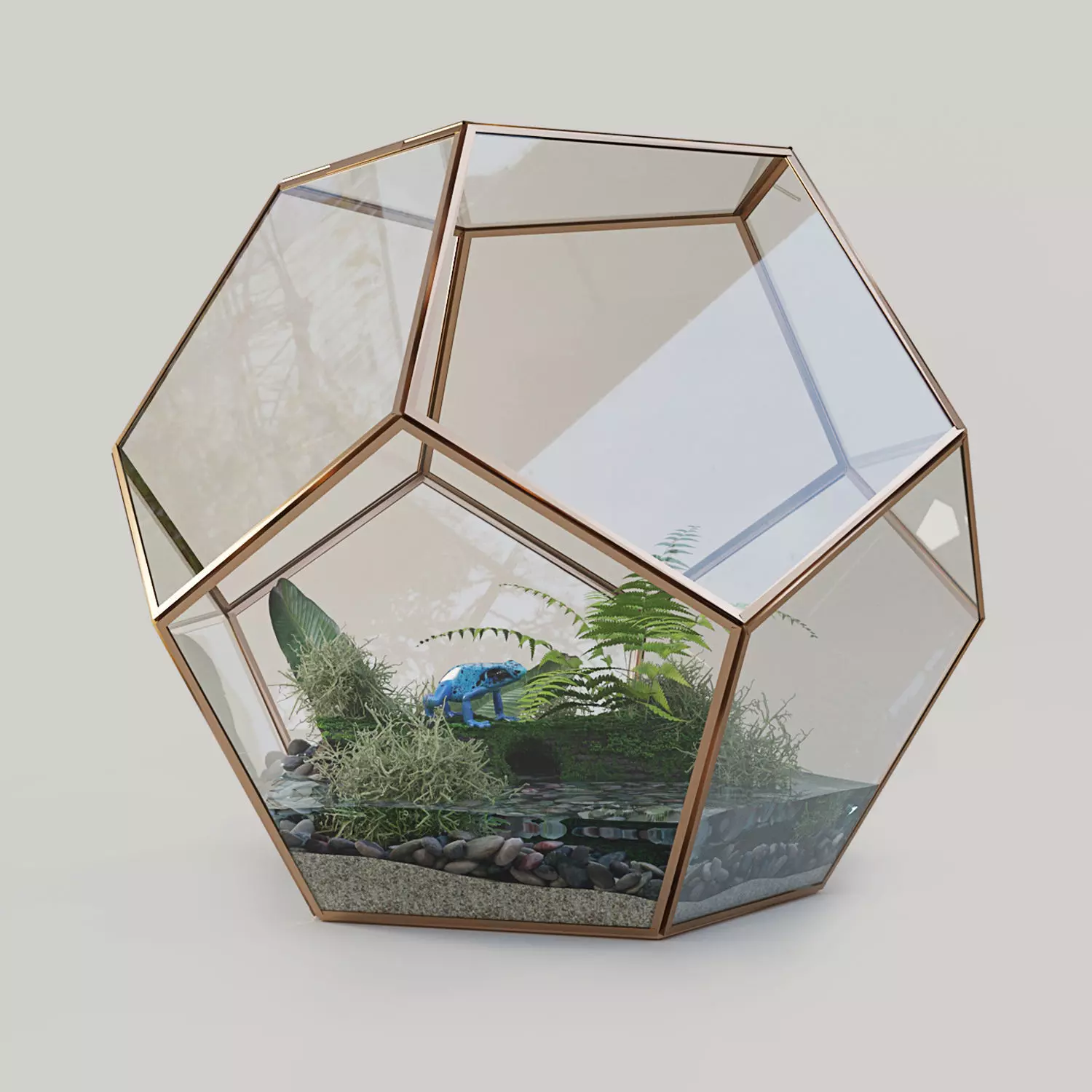 Terrarium with a frog 3D model_0