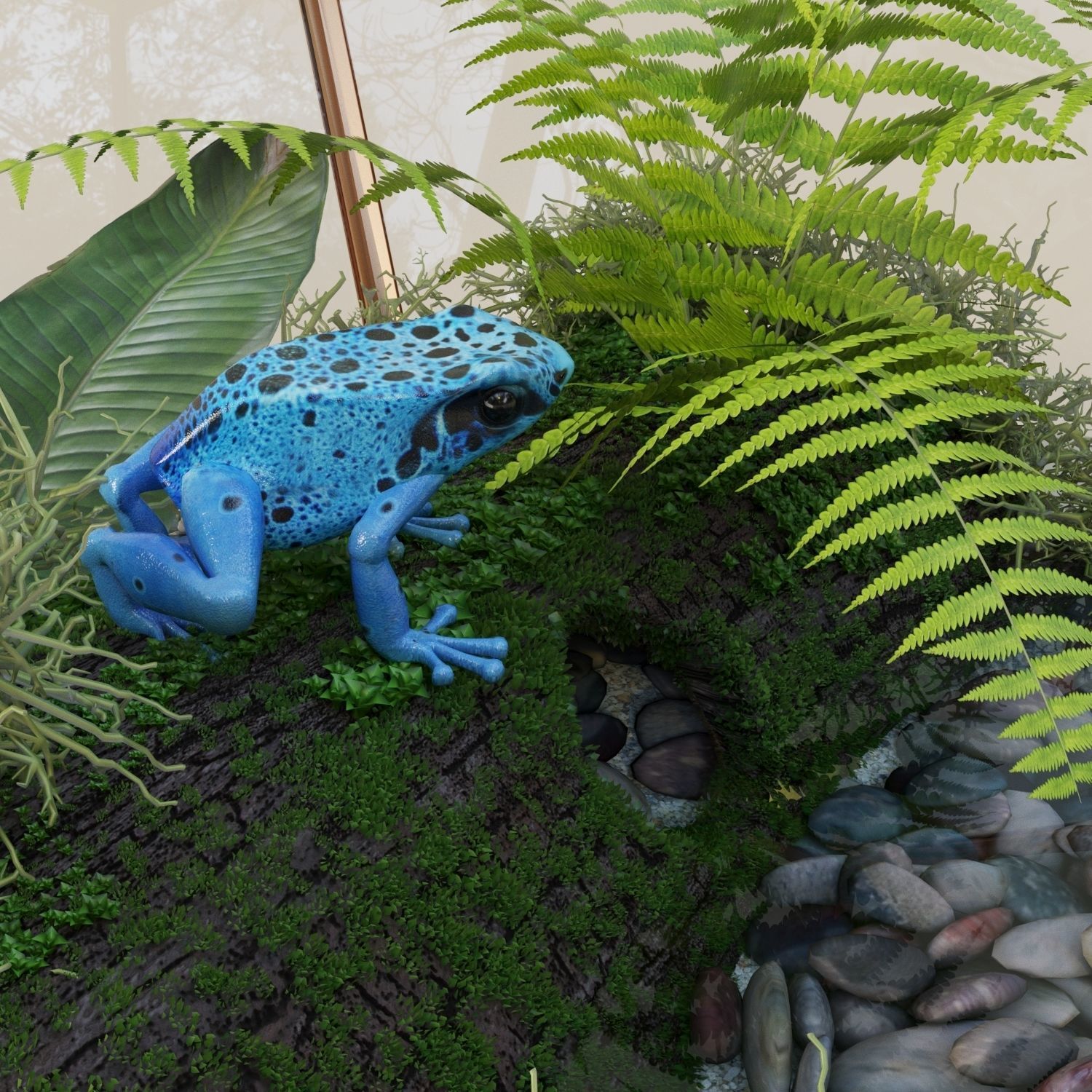 Terrarium with a frog 3D model_3