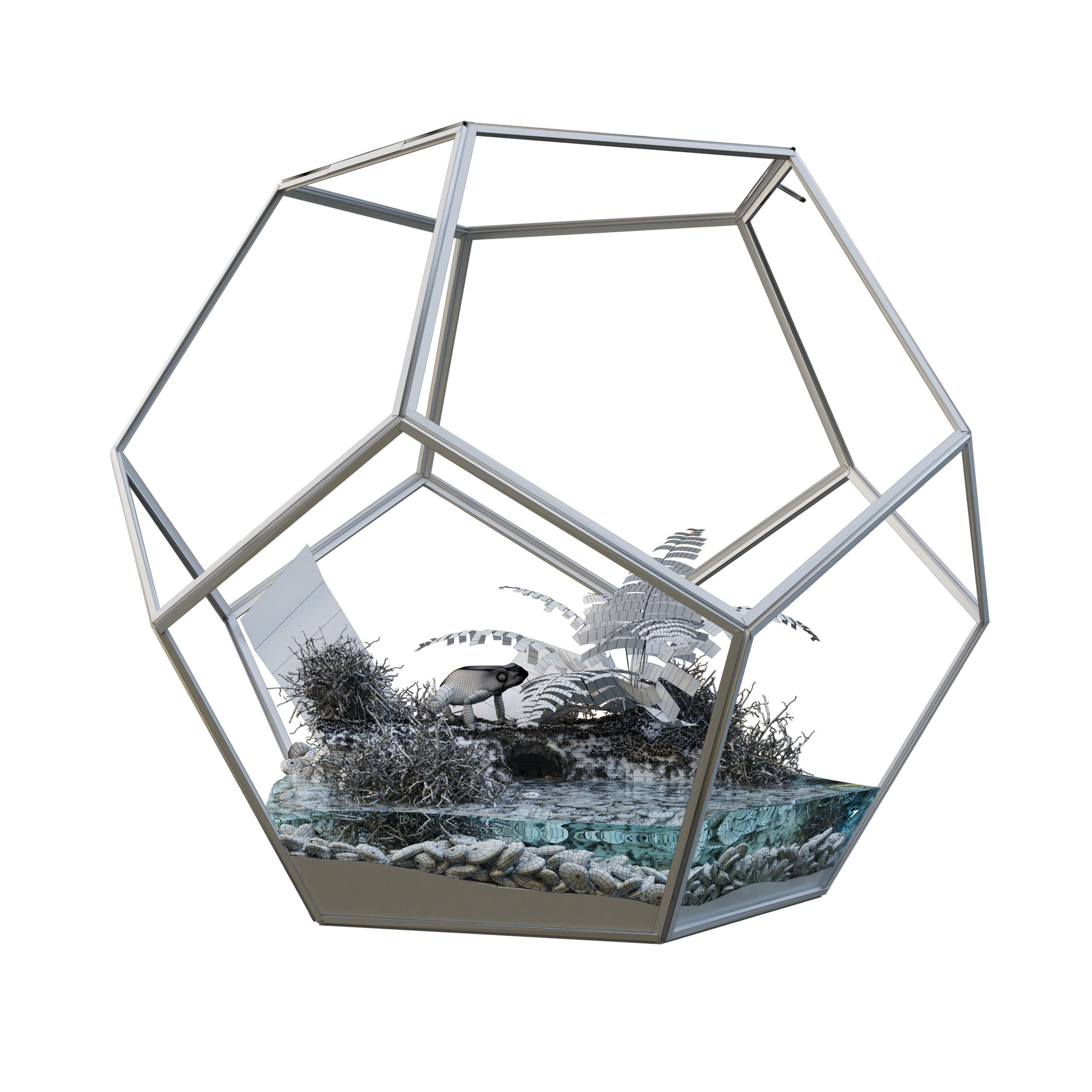Terrarium with a frog 3D model_1