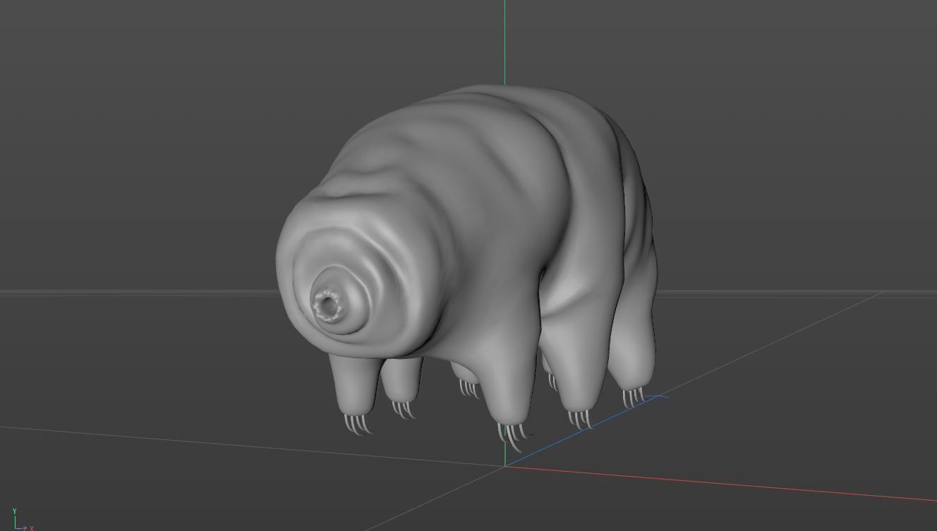 Tardigrade 3D model hamster 3D model_8