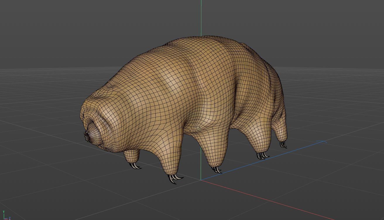 Tardigrade 3D model hamster 3D model_5