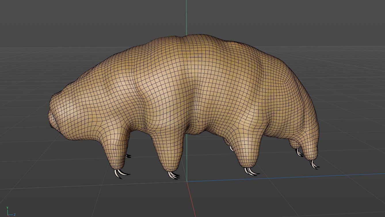 Tardigrade 3D model hamster 3D model_6
