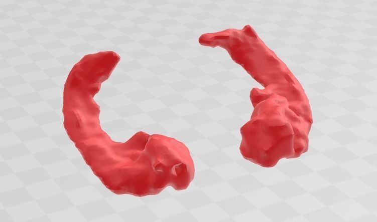 Hippocampus of Brain 3D model 3D printable | CGTrader