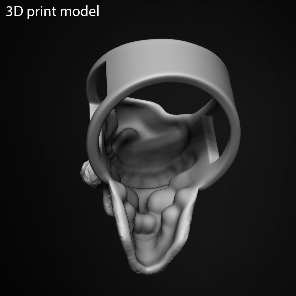 skull ring jewelry santa claus vol2 3D print model_6