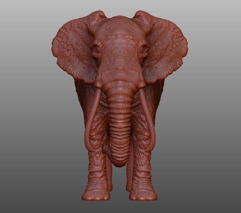 ELEPHANT with tusks Low-poly 3D model_7