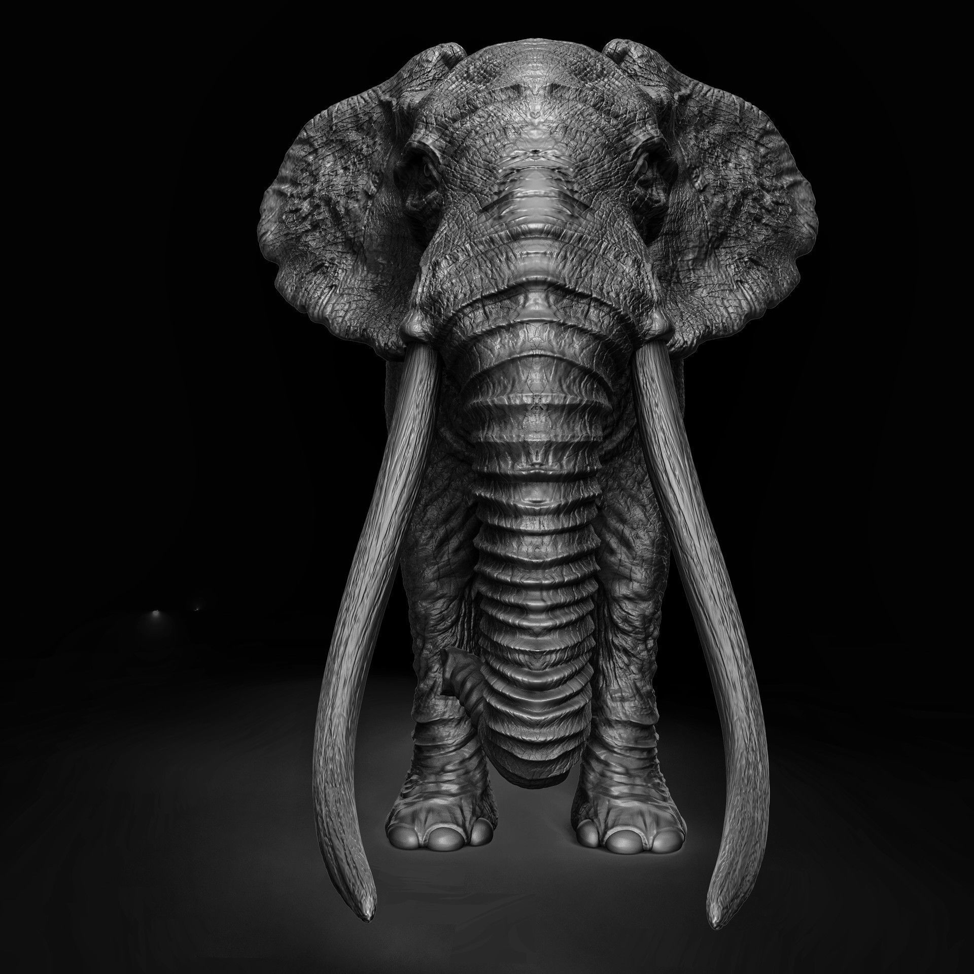 ELEPHANT with tusks Low-poly 3D model_2