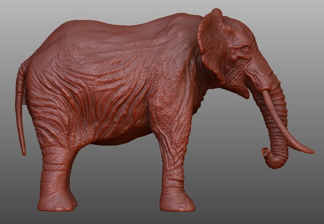 ELEPHANT with tusks Low-poly 3D model_8