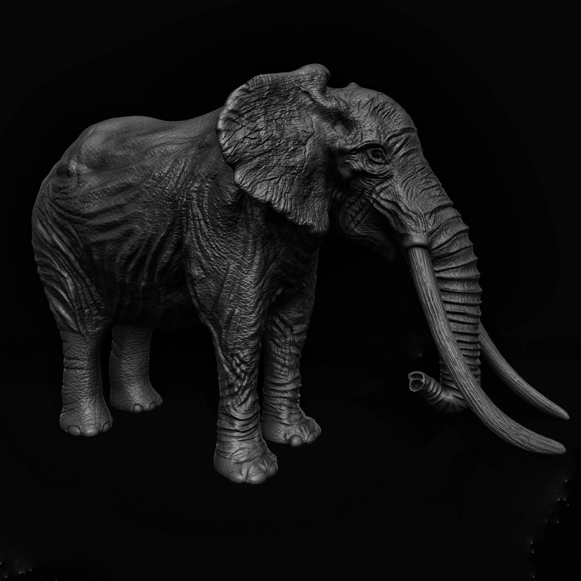 ELEPHANT with tusks Low-poly 3D model_4