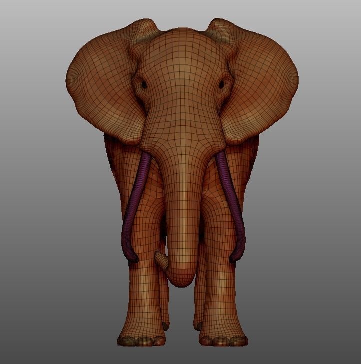 ELEPHANT with tusks Low-poly 3D model_10