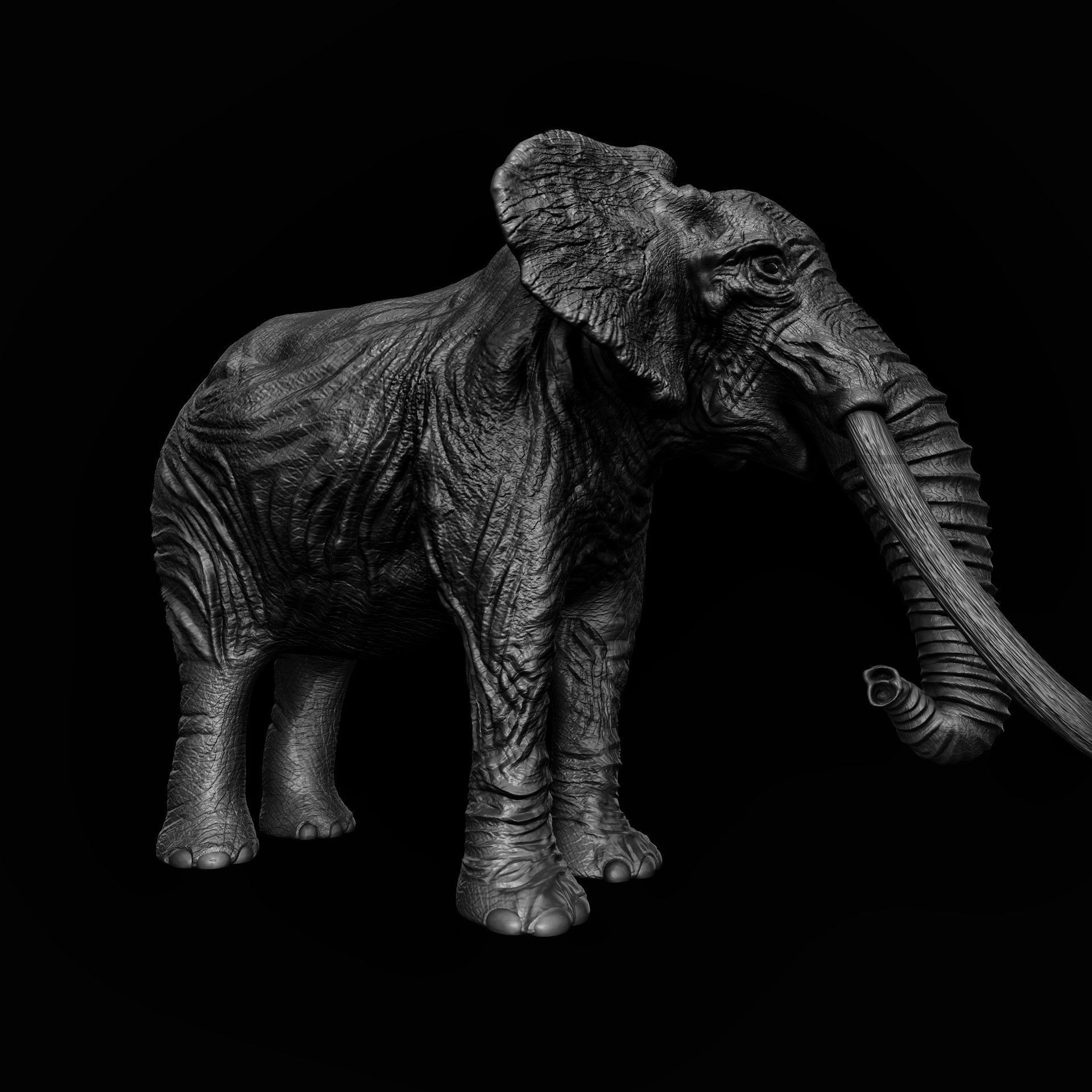 ELEPHANT with tusks Low-poly 3D model_6