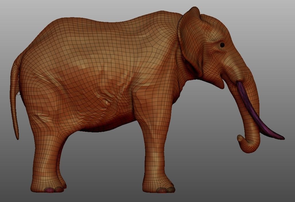 ELEPHANT with tusks Low-poly 3D model_9