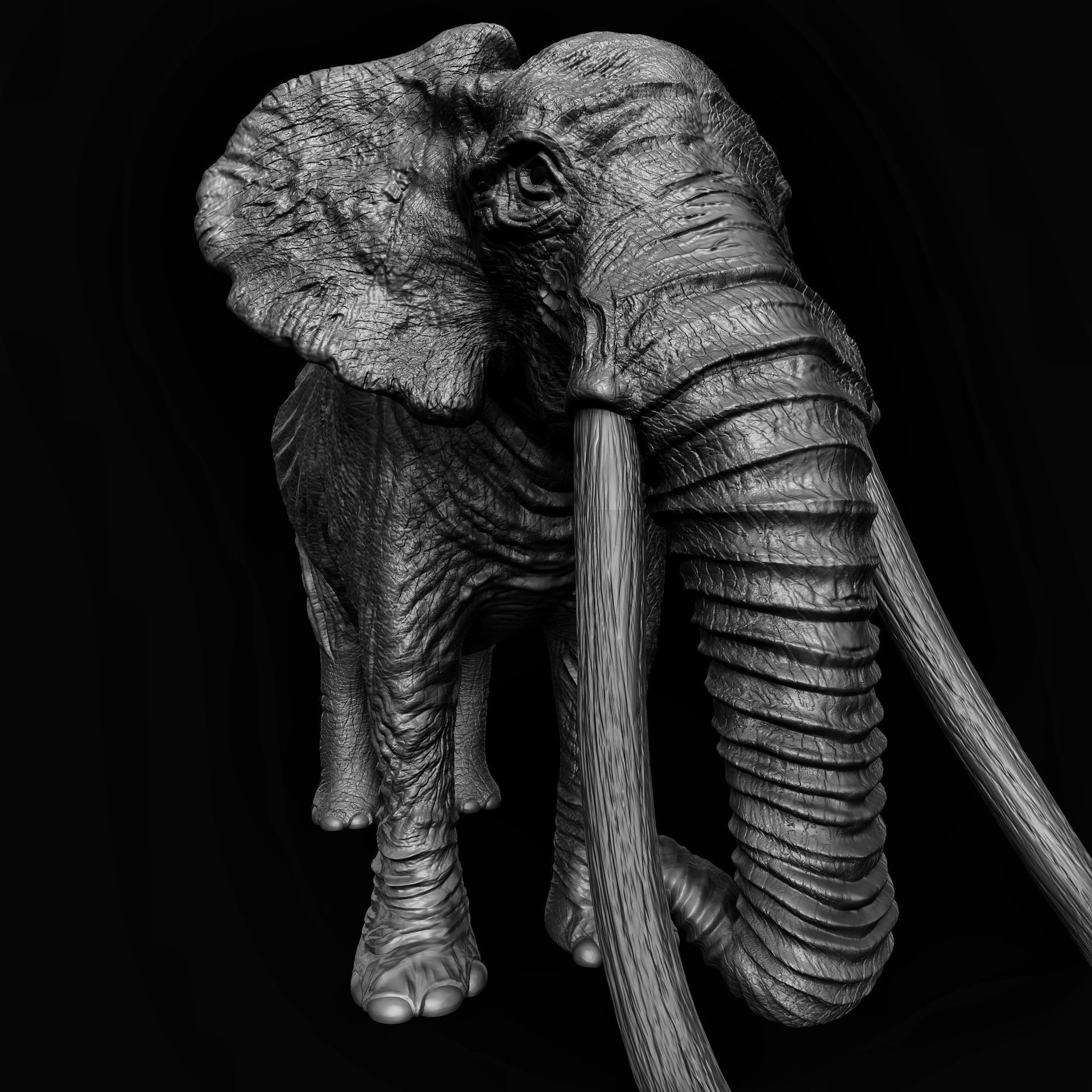 ELEPHANT with tusks Low-poly 3D model_1