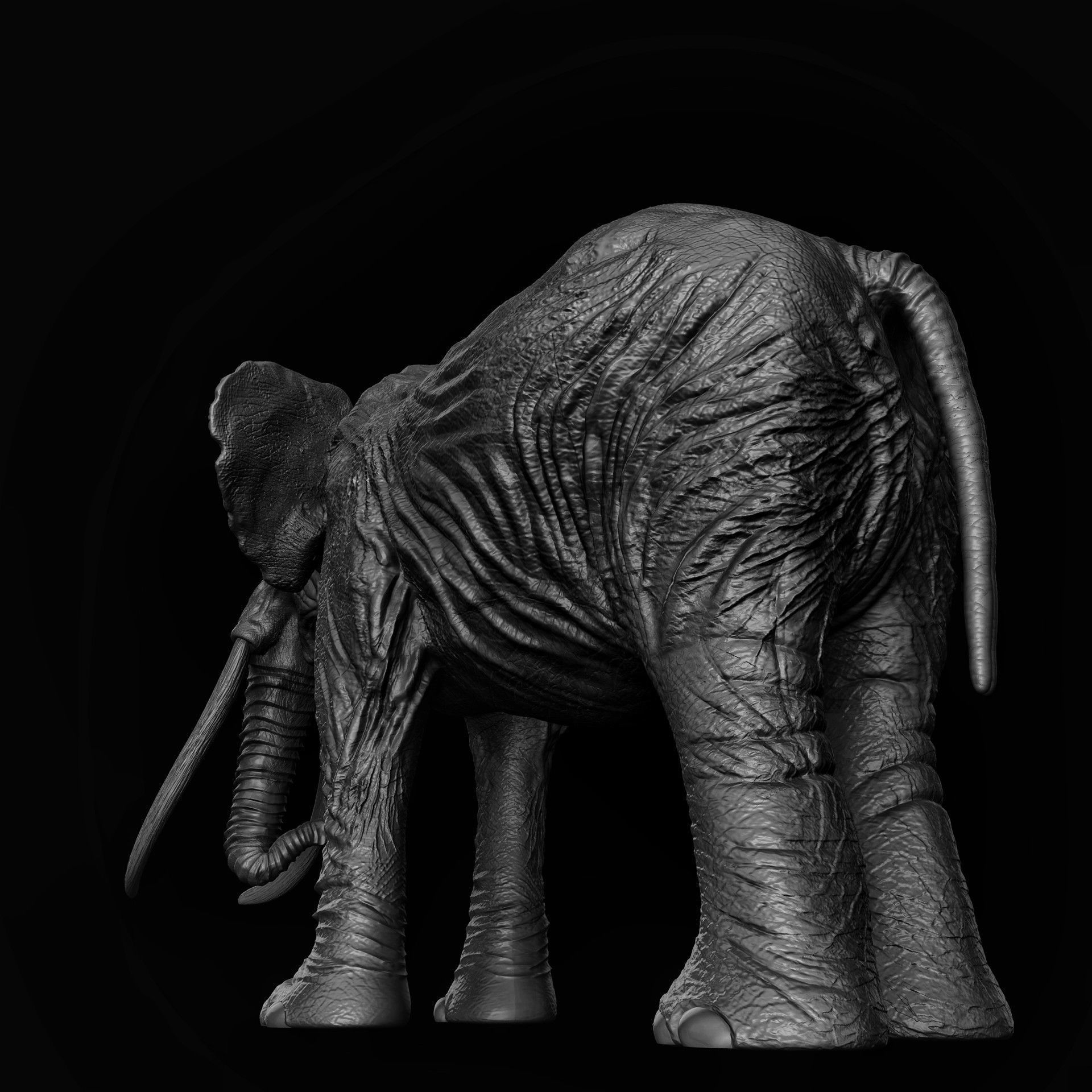 ELEPHANT with tusks Low-poly 3D model_5