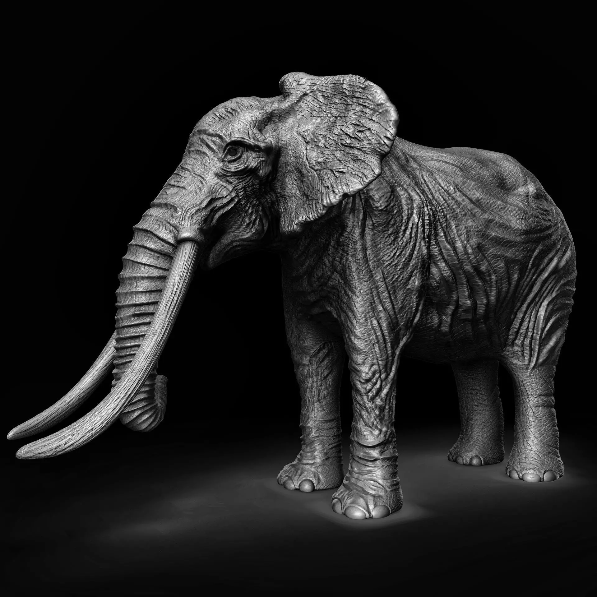 ELEPHANT with tusks Low-poly 3D model_0