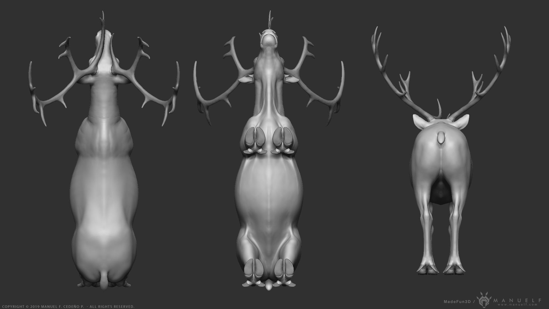 Reindeer Caribou - Highpoly Sculpture 3D model_13