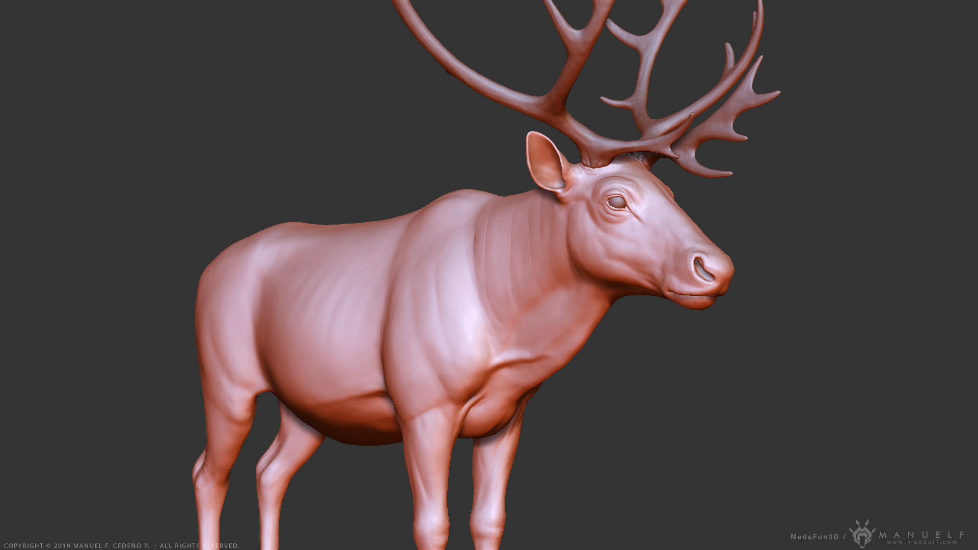 Reindeer Caribou - Highpoly Sculpture 3D model_2
