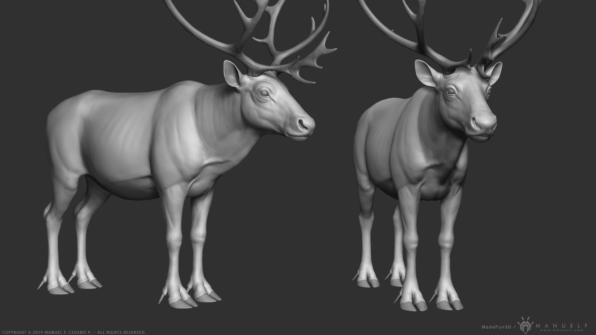 Reindeer Caribou - Highpoly Sculpture 3D model_4