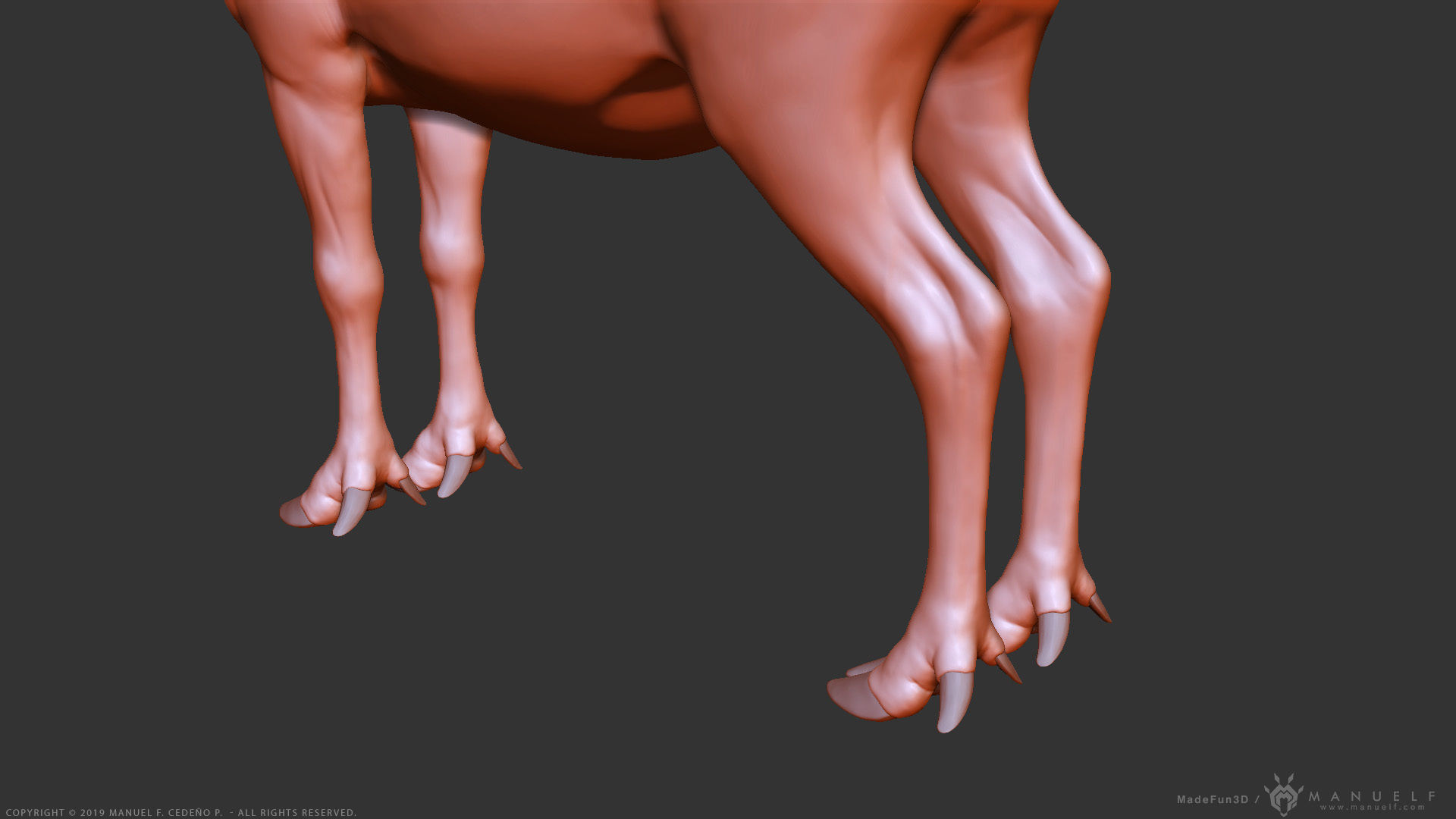 Reindeer Caribou - Highpoly Sculpture 3D model_18