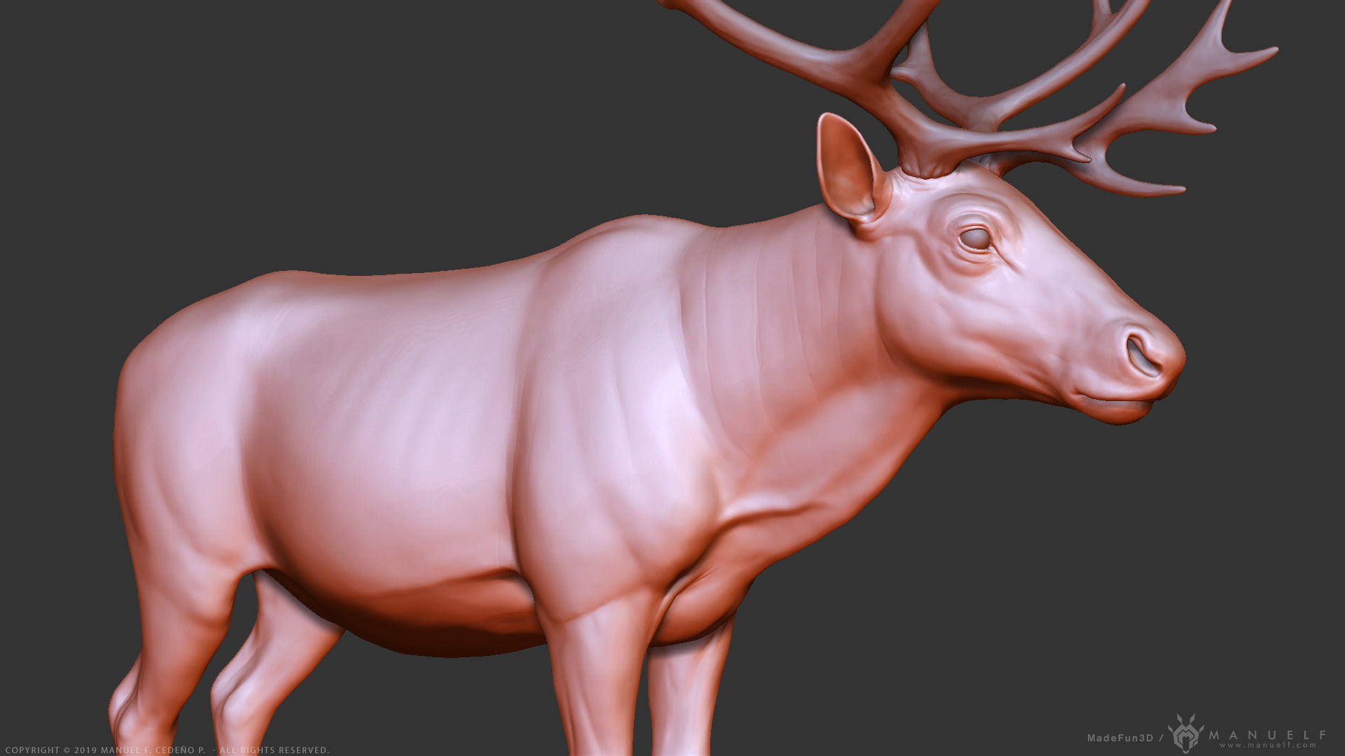 Reindeer Caribou - Highpoly Sculpture 3D model_3