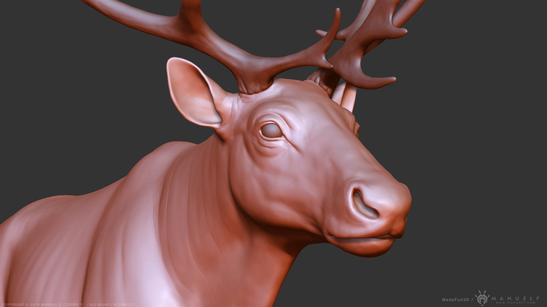 Reindeer Caribou - Highpoly Sculpture 3D model_12
