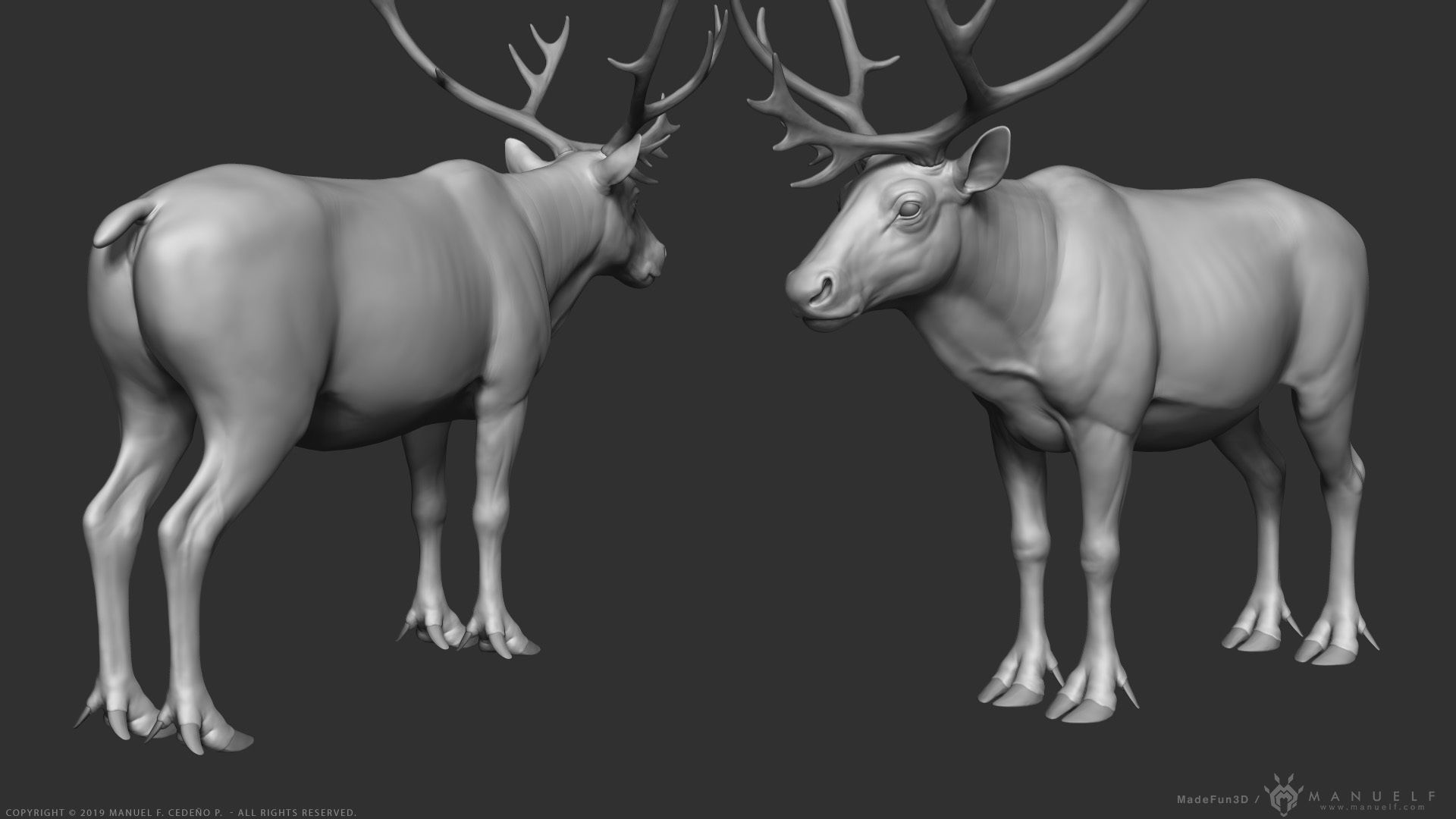 Reindeer Caribou - Highpoly Sculpture 3D model_5