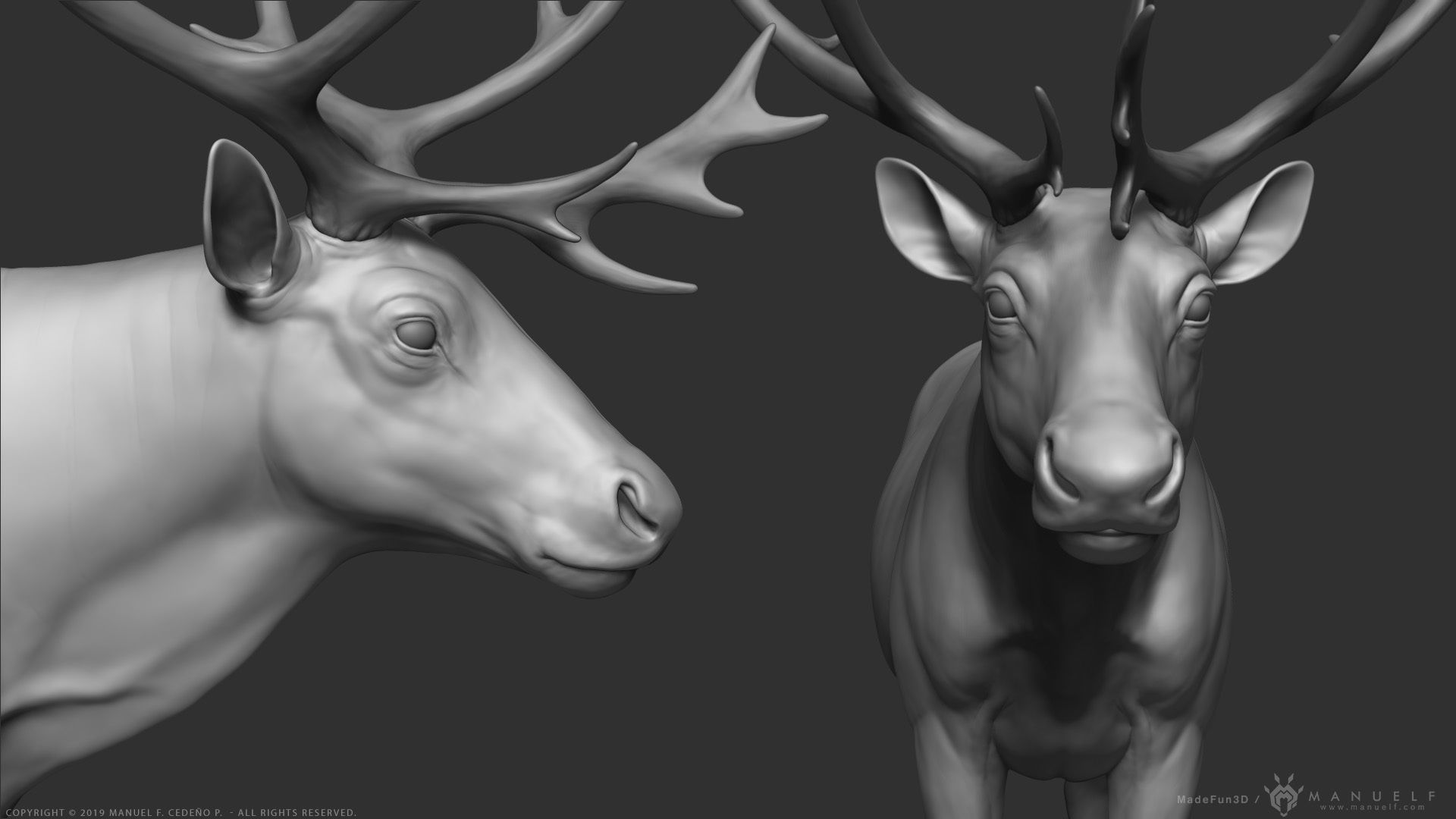 Reindeer Caribou - Highpoly Sculpture 3D model_11