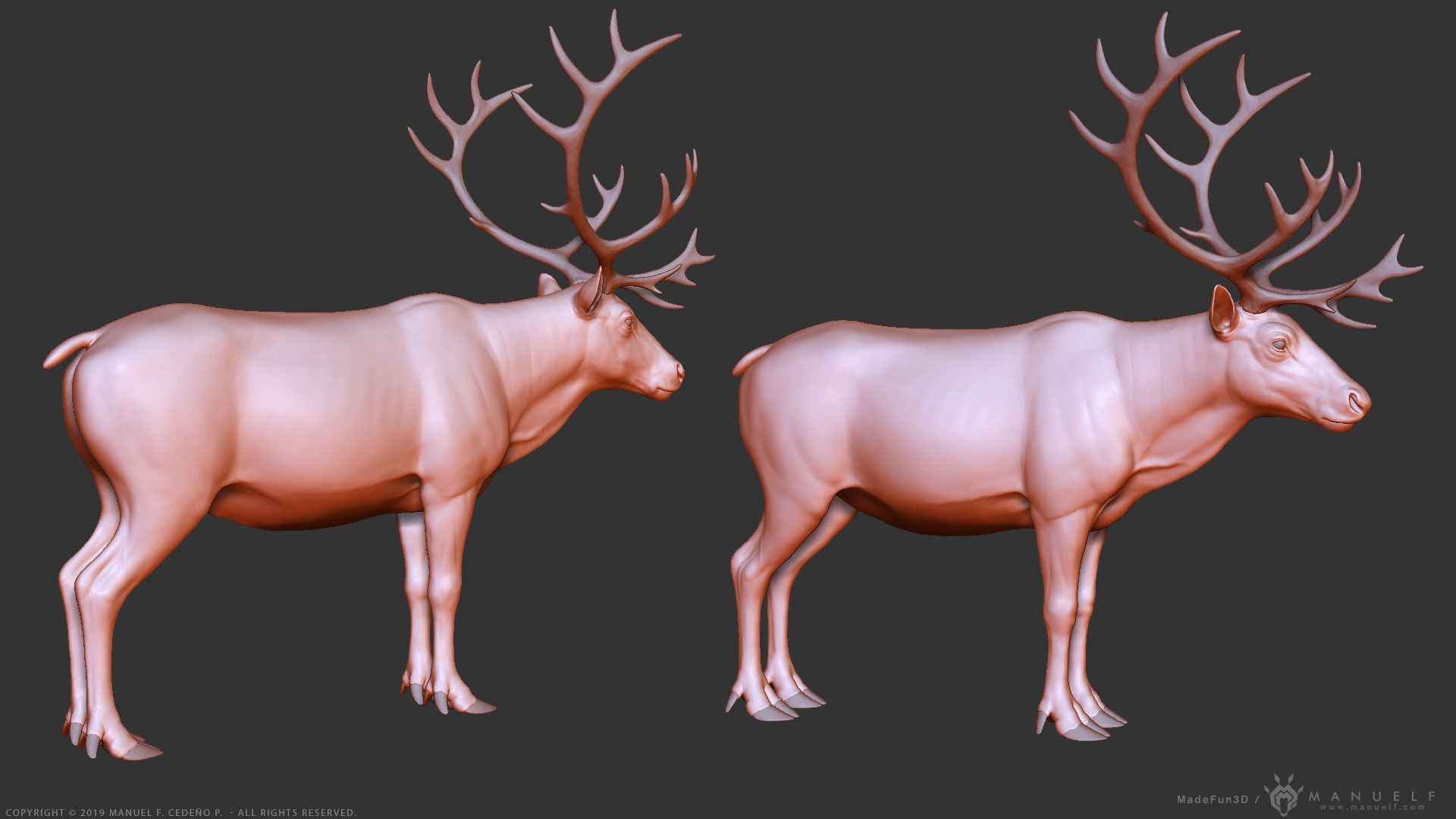 Reindeer Caribou - Highpoly Sculpture 3D model_10