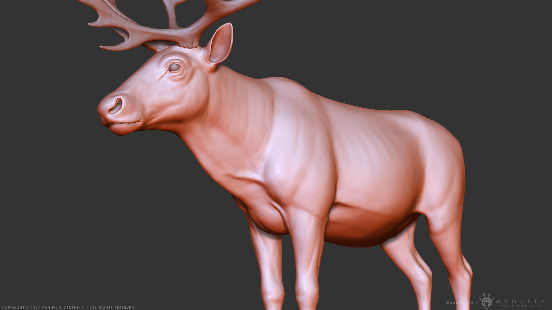 Reindeer Caribou - Highpoly Sculpture 3D model_20