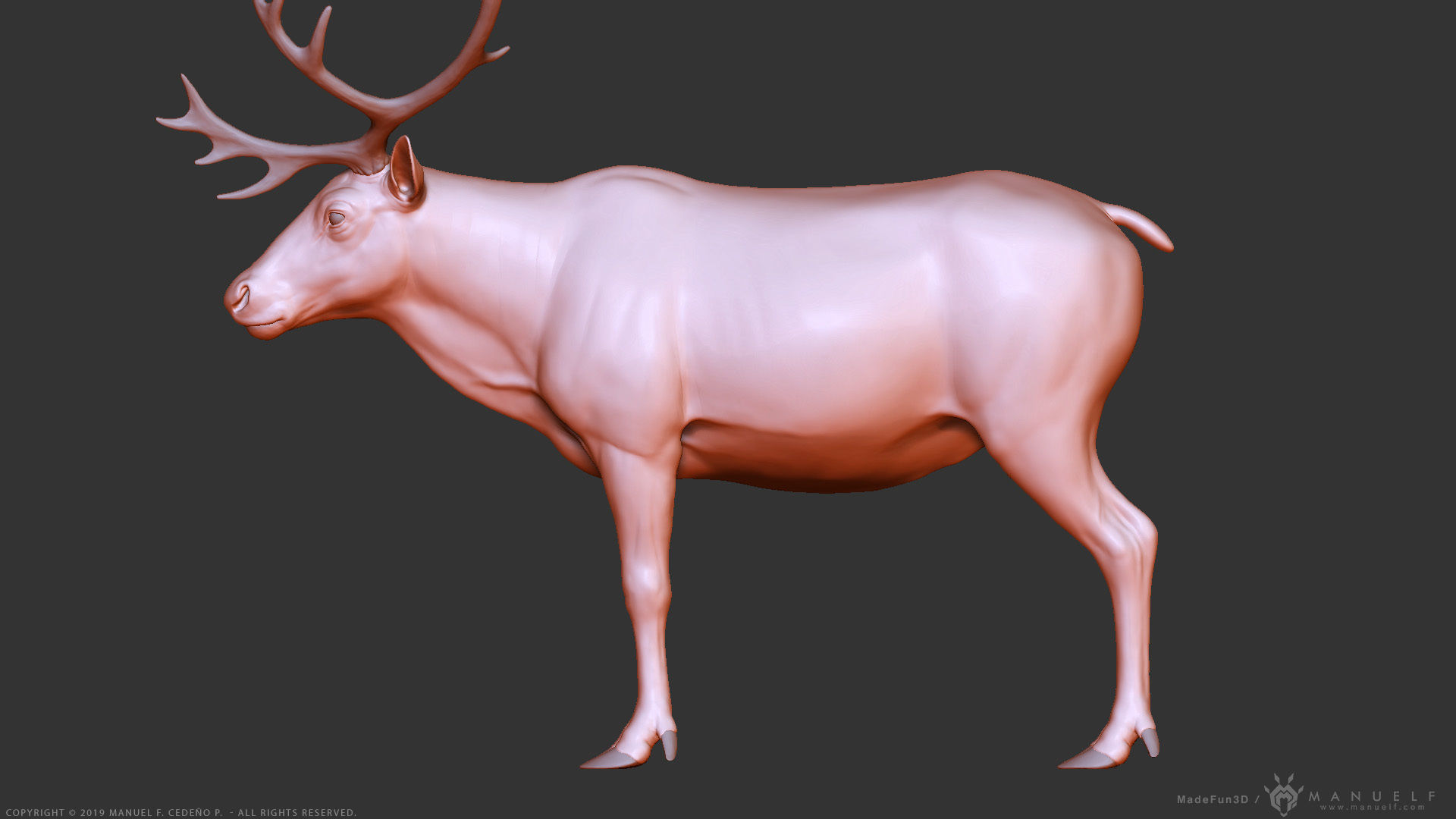 Reindeer Caribou - Highpoly Sculpture 3D model_21