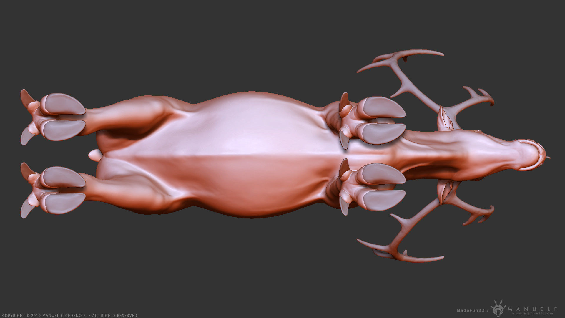 Reindeer Caribou - Highpoly Sculpture 3D model_14