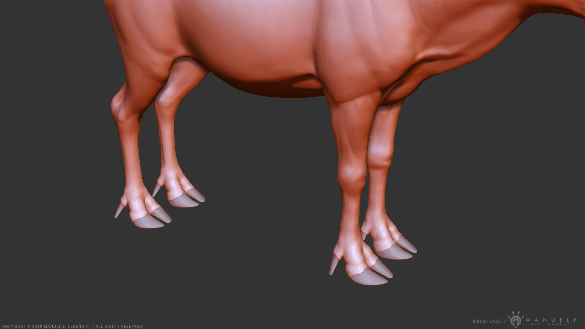 Reindeer Caribou - Highpoly Sculpture 3D model_15