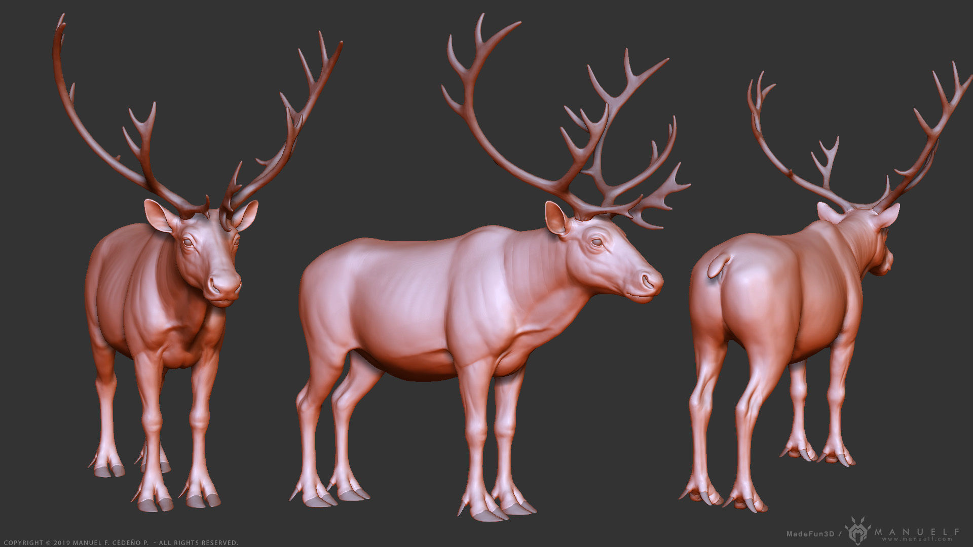 Reindeer Caribou - Highpoly Sculpture 3D model_9